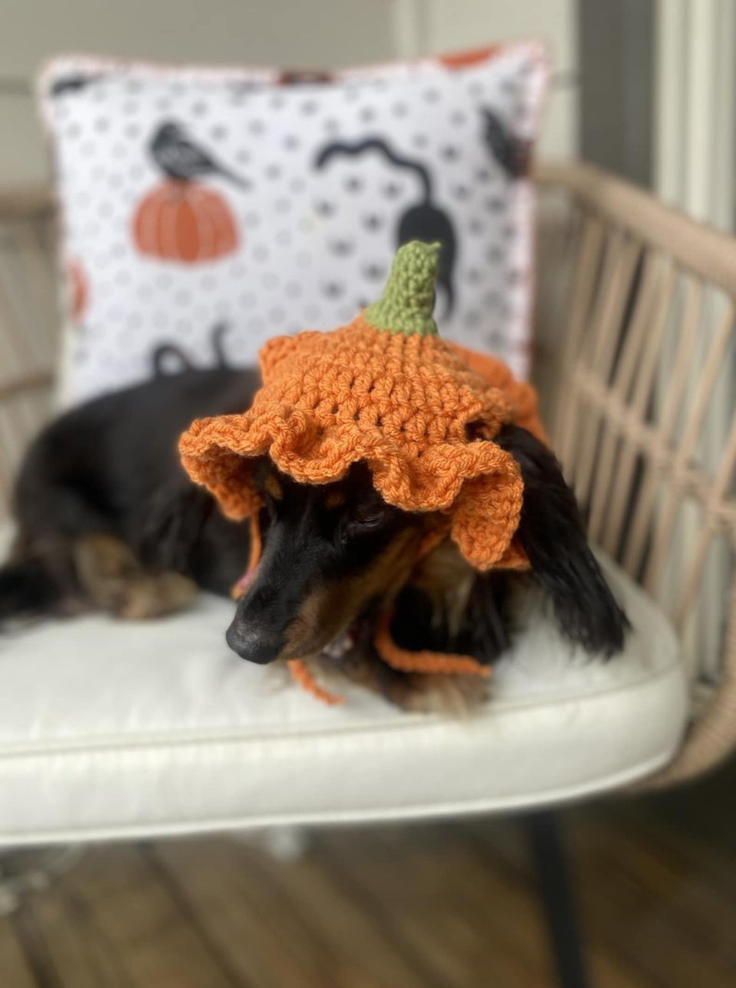 🎃 Pumpkin Ruffle Hat Crochet Pattern (XS-L) | PDF Pattern
