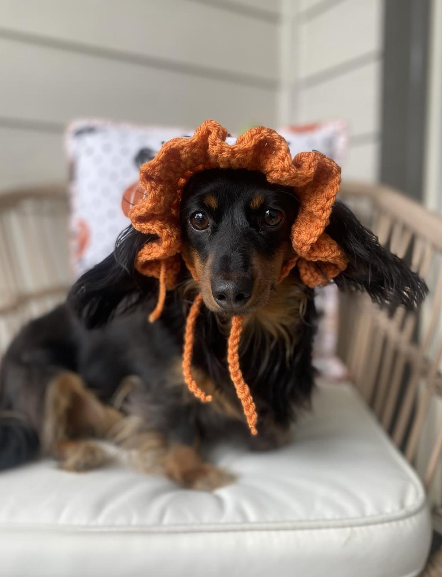 🎃 Pumpkin Ruffle Hat Crochet Pattern (XS-L) | PDF Pattern