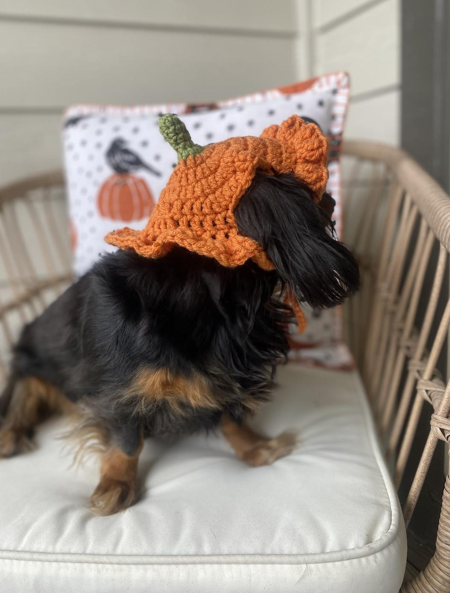 🎃 Pumpkin Ruffle Hat Crochet Pattern (XS-L) | PDF Pattern