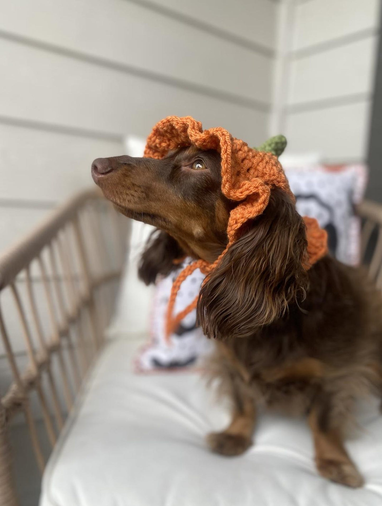 🎃 Pumpkin Ruffle Hat Crochet Pattern (XS-L) | PDF Pattern