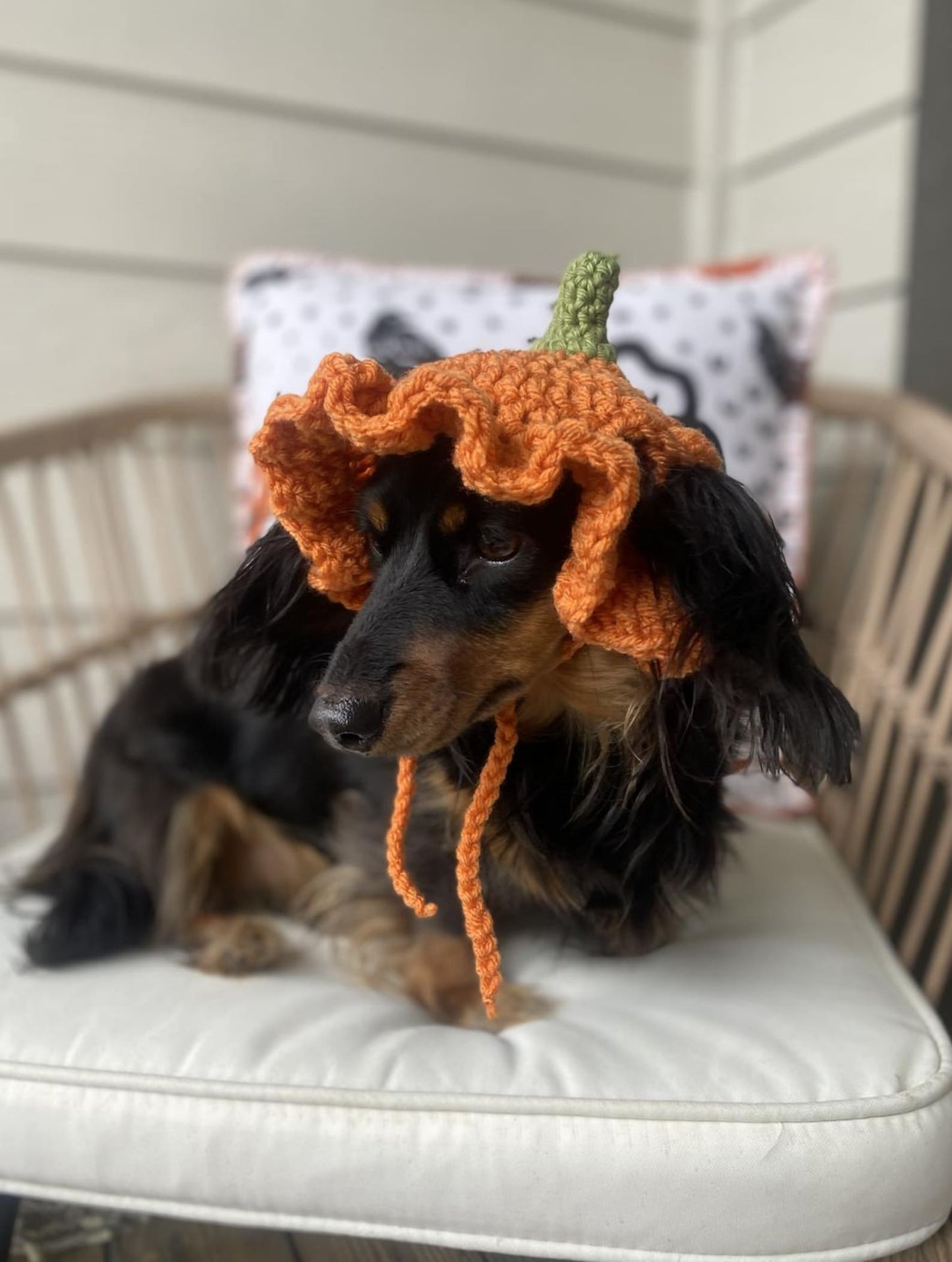 🎃 Pumpkin Ruffle Hat Crochet Pattern (XS-L) | PDF Pattern