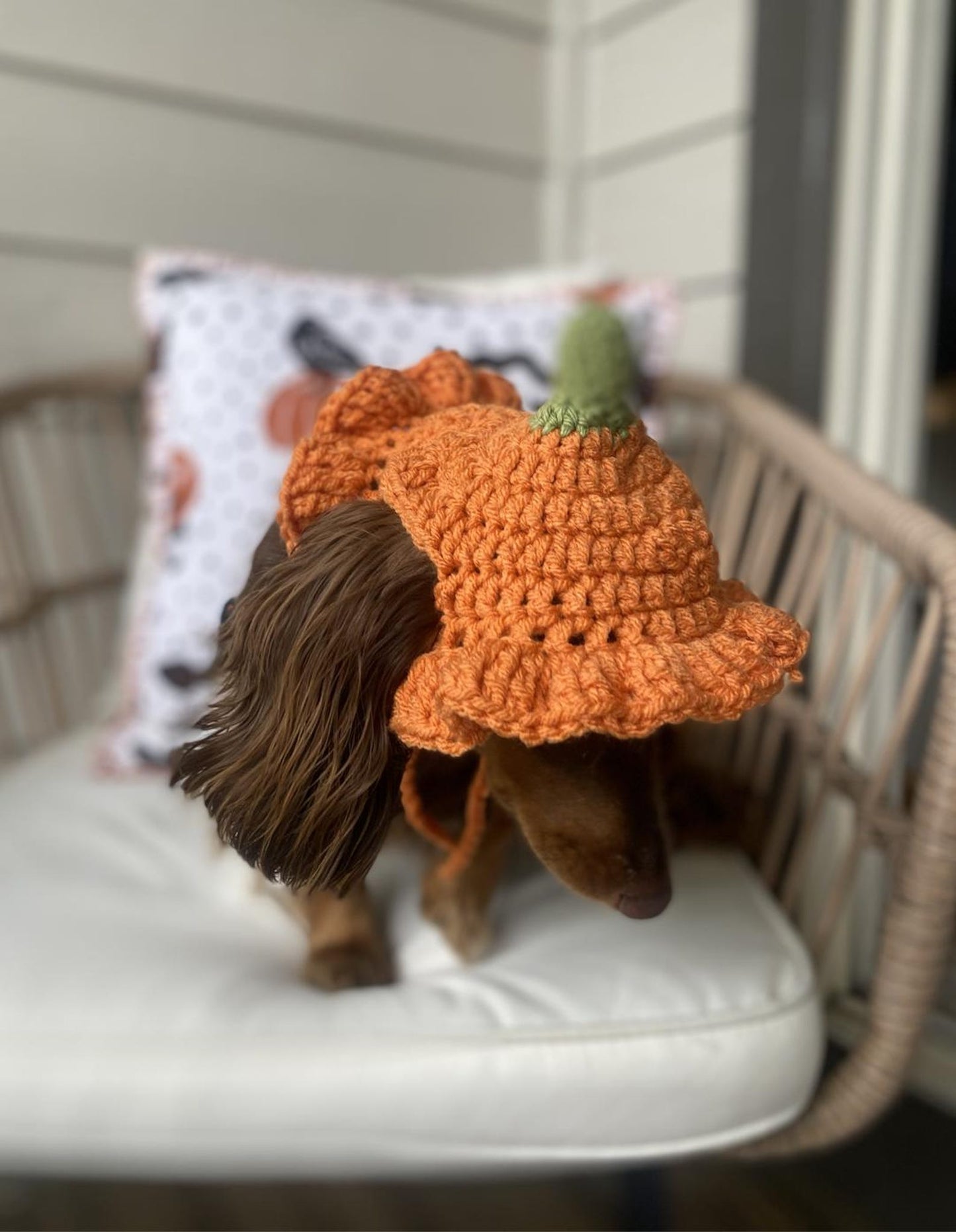 🎃 Pumpkin Ruffle Hat Crochet Pattern (XS-L) | PDF Pattern