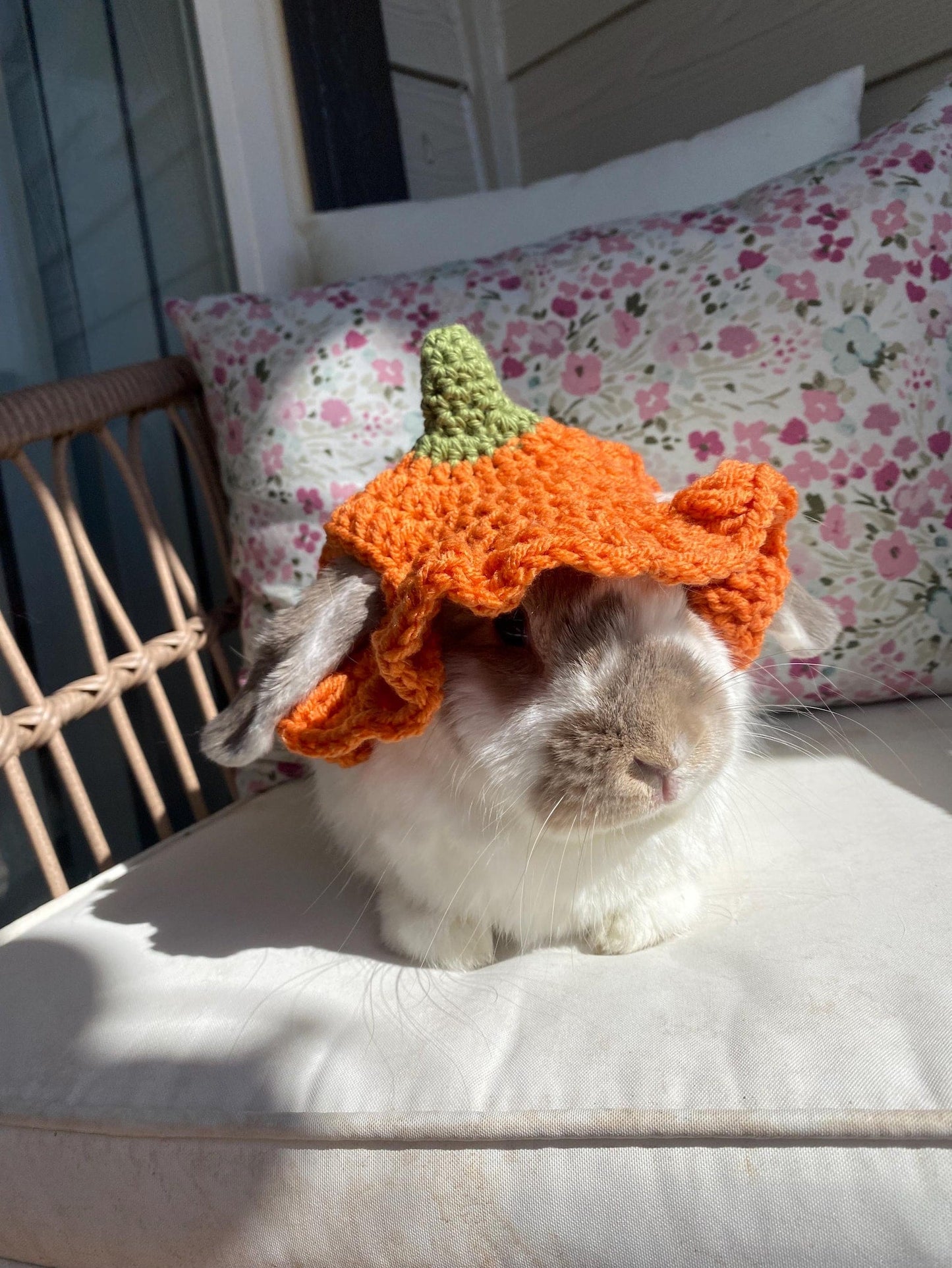🎃 Pumpkin Ruffle Hat Crochet Pattern (XS-L) | PDF Pattern