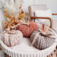 Crochet Pattern + Video – Pumpkin Spice Trio (PDF)